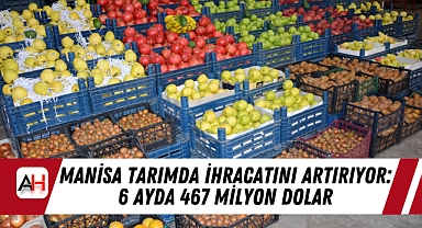Manisa Tarımda İhracatını Artırıyor: 6 Ayda 467 Milyon Dolar