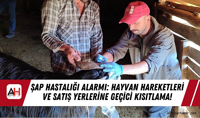 Şap Hastalığı Alarmı: Hayvan Hareketleri ve Satış Yerlerine Geçici Kısıtlama!
