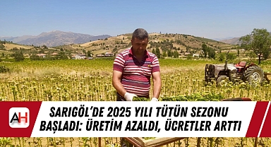 Sarıgöl'de 2025 Yılı Tütün Sezonu Başladı: Üretim Azaldı, Ücretler Arttı