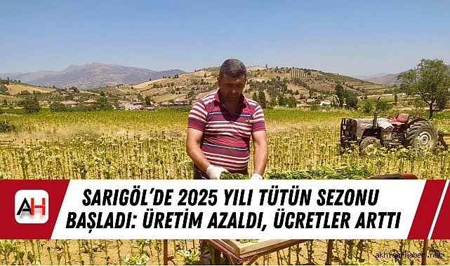 Sarıgöl'de 2025 Yılı Tütün Sezonu Başladı: Üretim Azaldı, Ücretler Arttı