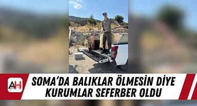 Soma'da Balıklar Ölmesin Diye Kurumlar Seferber Oldu