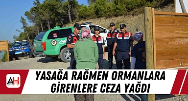 Spil Dağı’nda Yasağa Rağmen Girişler Devam Ediyor: 306 Kişiye Ceza, 9 Kişi Hakkında Adli İşlem