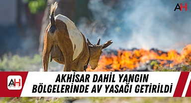 Akhisar Dahil Yangın Bölgelerinde Av Yasağı Getirildi