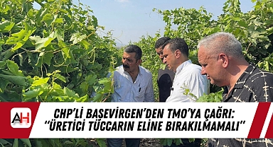 CHP'li Başevirgen'den TMO'ya Çağrı: