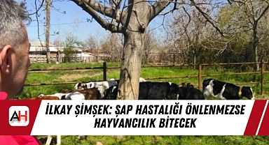 İlkay Şimşek: Şap Hastalığı Önlenmezse Hayvancılık Bitecek