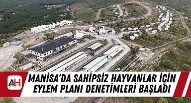 Manisa’da Sahipsiz Hayvanlar İçin Eylem Planı Denetimleri Başladı