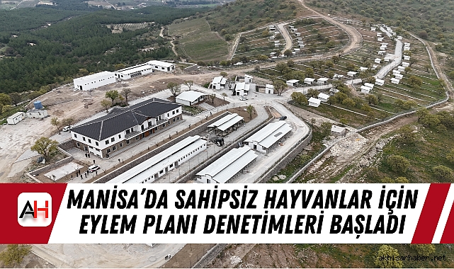 Manisa’da Sahipsiz Hayvanlar İçin Eylem Planı Denetimleri Başladı