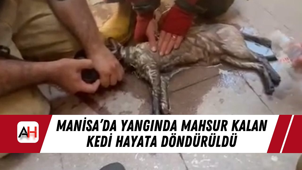 Manisa’da Yangında Mahsur Kalan Kedi Hayata Döndürüldü