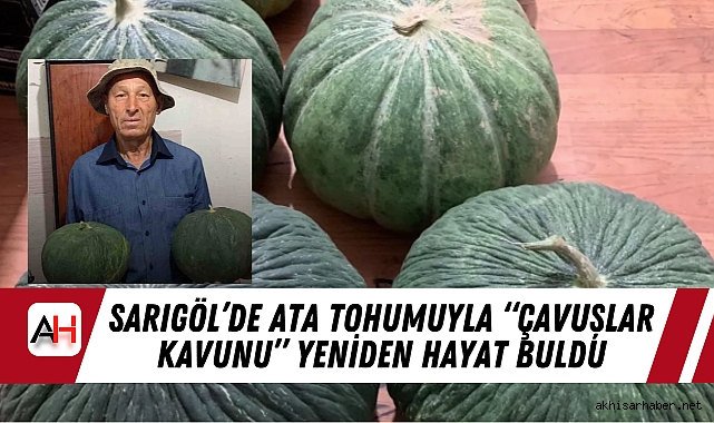 Sarıgöl'de Ata Tohumuyla "Çavuşlar Kavunu" Yeniden Hayat Buldu