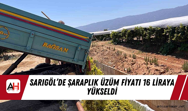 Sarıgöl’de Şaraplık Üzüm Fiyatı 16 Liraya Yükseldi