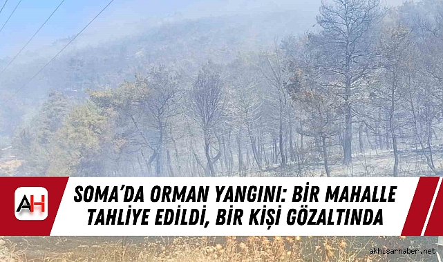 Soma’da Orman Yangını: Bir Mahalle Tahliye Edildi, Bir Kişi Gözaltında