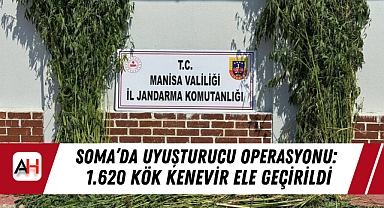 Soma’da Uyuşturucu Operasyonu: 1.620 Kök Kenevir Ele Geçirildi