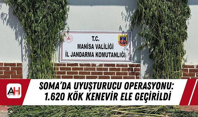 Soma’da Uyuşturucu Operasyonu: 1.620 Kök Kenevir Ele Geçirildi