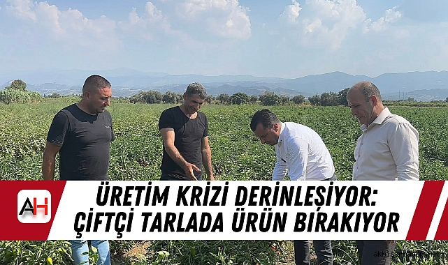 Üretim Krizi Derinleşiyor: Çiftçi Tarlada Ürün Bırakıyor