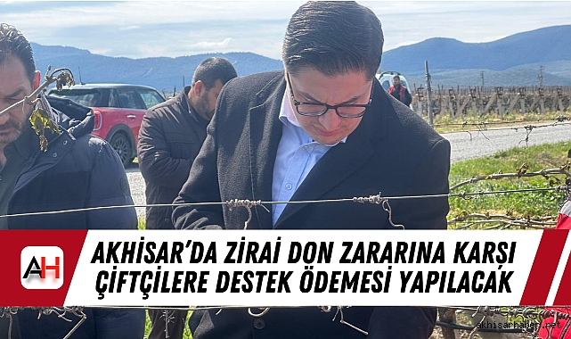 Akhisar'da Zirai Don Zararına Karşı Çiftçilere Destek Ödemesi Yapılacak