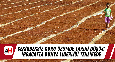 Çekirdeksiz Kuru Üzümde Tarihi Düşüş: İhracatta Dünya Liderliği Tehlikede