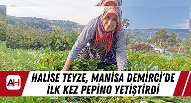 Halise Teyze, Manisa Demirci'de İlk Kez Pepino Yetiştirdi