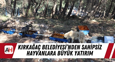 Kırkağaç Belediyesi'nden Sahipsiz Hayvanlara Büyük Yatırım