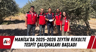 Manisa'da 2025-2026 Zeytin Rekolte Tespit Çalışmaları Başladı