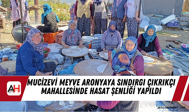 Mucizevi Meyve Aronyaya Sındırgı Çıkrıkçı Mahallesinde Hasat Şenliği Yapıldı