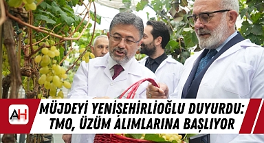 Müjdeyi Yenişehirlioğlu Duyurdu: TMO, Üzüm Alımlarına Başlıyor
