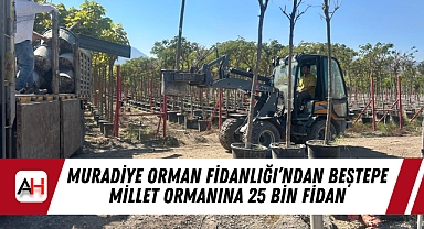 Muradiye Orman Fidanlığı'ndan Beştepe Millet Ormanına 25 Bin Fidan