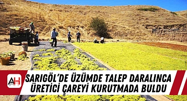 Üzümde Talep Daralınca Üretici Çareyi Kurutmada Buldu