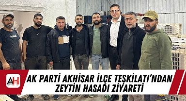 AK Parti Akhisar İlçe Teşkilatı'ndan Zeytin Hasadı Ziyareti