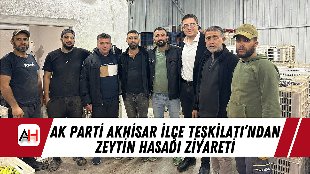 AK Parti Akhisar İlçe Teşkilatı'ndan Zeytin Hasadı Ziyareti