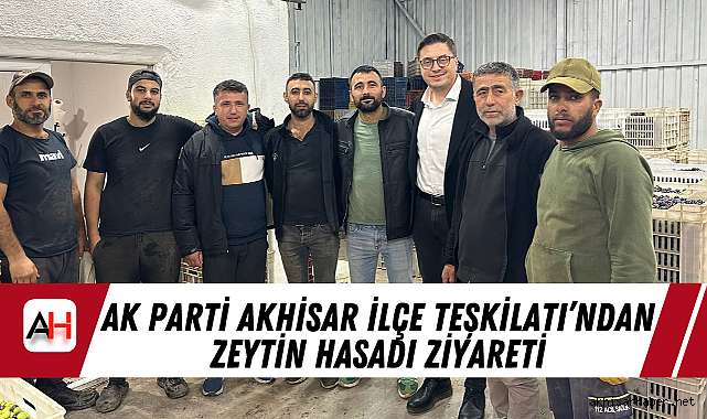 AK Parti Akhisar İlçe Teşkilatı'ndan Zeytin Hasadı Ziyareti