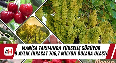 Manisa Tarımında Yükseliş Sürüyor, 9 Aylık İhracat 706,7 Milyon Dolara Ulaştı