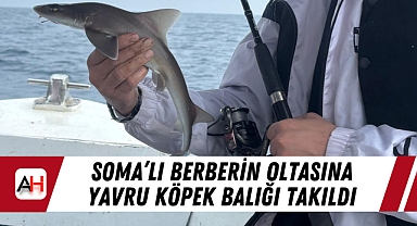 Soma'lı Berberin Oltasına Yavru Köpek Balığı Takıldı