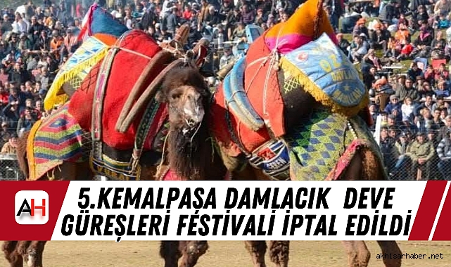 5. Kemalpaşa Damlacık  Deve Güreşleri Festivali İptal Edildi