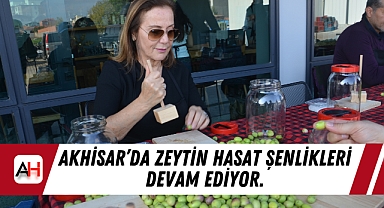 Akhisar'da zeytin hasat şenlikleri devam ediyor