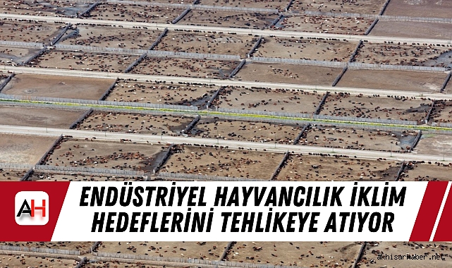 Endüstriyel Hayvancılık İklim Hedeflerini Tehlikeye Atıyor