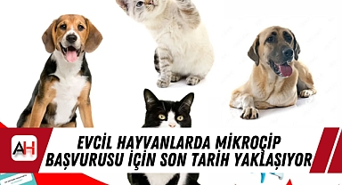 Evcil Hayvanlarda Mikroçip Başvurusu İçin Son Tarih Yaklaşıyor