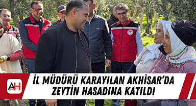 İl Müdürü Karayılan Akhisar'da Zeytin Hasadına Katıldı