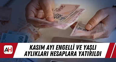 Kasım Ayı Engelli ve Yaşlı Aylıkları Hesaplara Yatırıldı