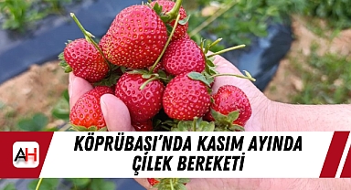 Köprübaşı'nda Kasım Ayında Çilek Bereketi