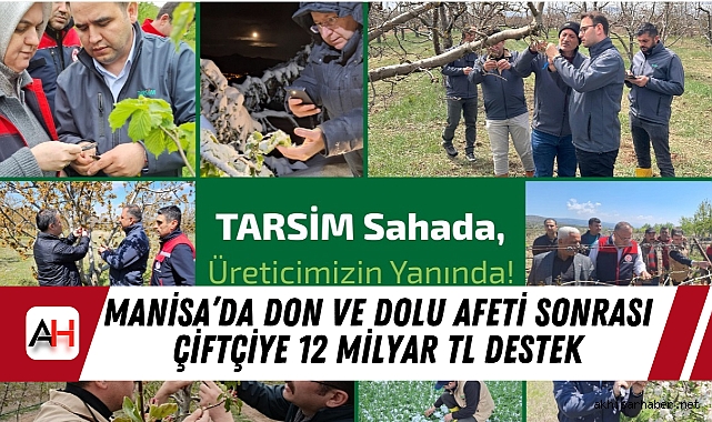 Manisa’da Don ve Dolu Afeti Sonrası Çiftçiye 12 Milyar TL Destek