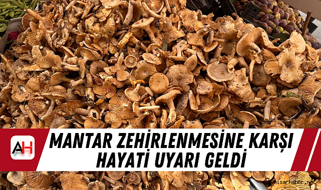 Mantar Zehirlenmesine Karşı Hayati Uyarı Geldi