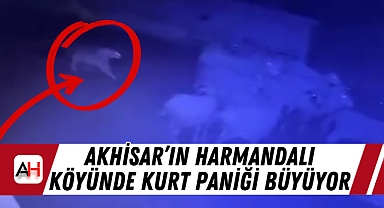 Akhisar’ın Harmandalı Köyünde Kurt Paniği Büyüyor