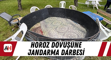 Horoz Dövüşüne Jandarma Darbesi