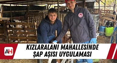 Kızlaralanı Mahallesinde Şap Aşısı Uygulaması