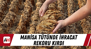 Manisa tütünde ihracat rekoru kırdı