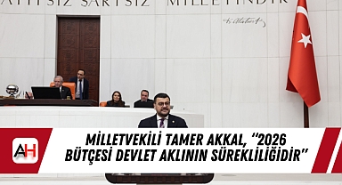 Milletvekili Tamer Akkal, 