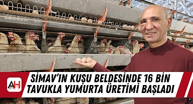 Simav’ın Kuşu Beldesinde 16 Bin Tavukla Yumurta Üretimi Başladı