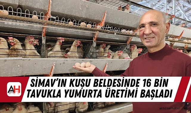 Simav’ın Kuşu Beldesinde 16 Bin Tavukla Yumurta Üretimi Başladı