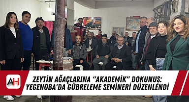 Zeytin Ağaçlarına 