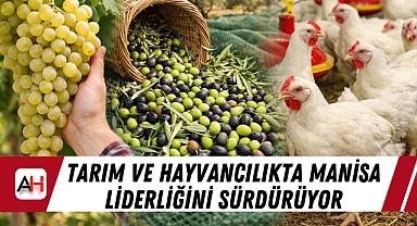 Tarım Ve Hayvancılıkta Manisa Liderliğini Sürdürüyor